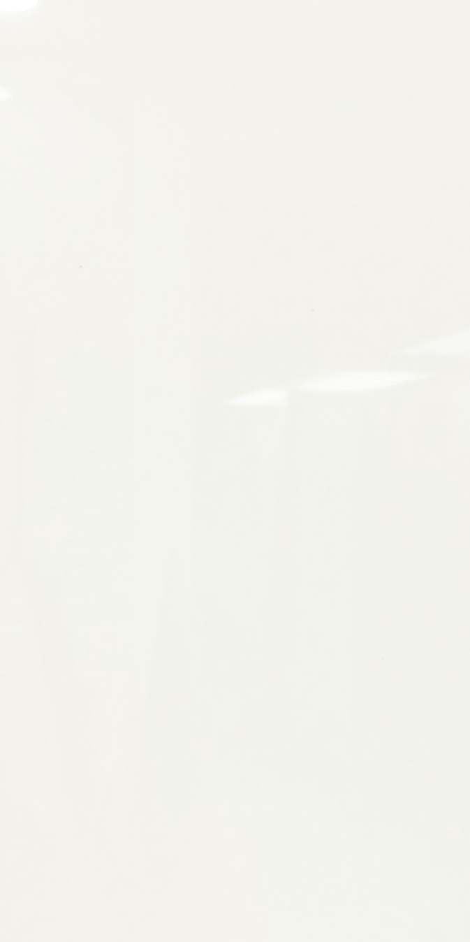 Super White Todo Masa