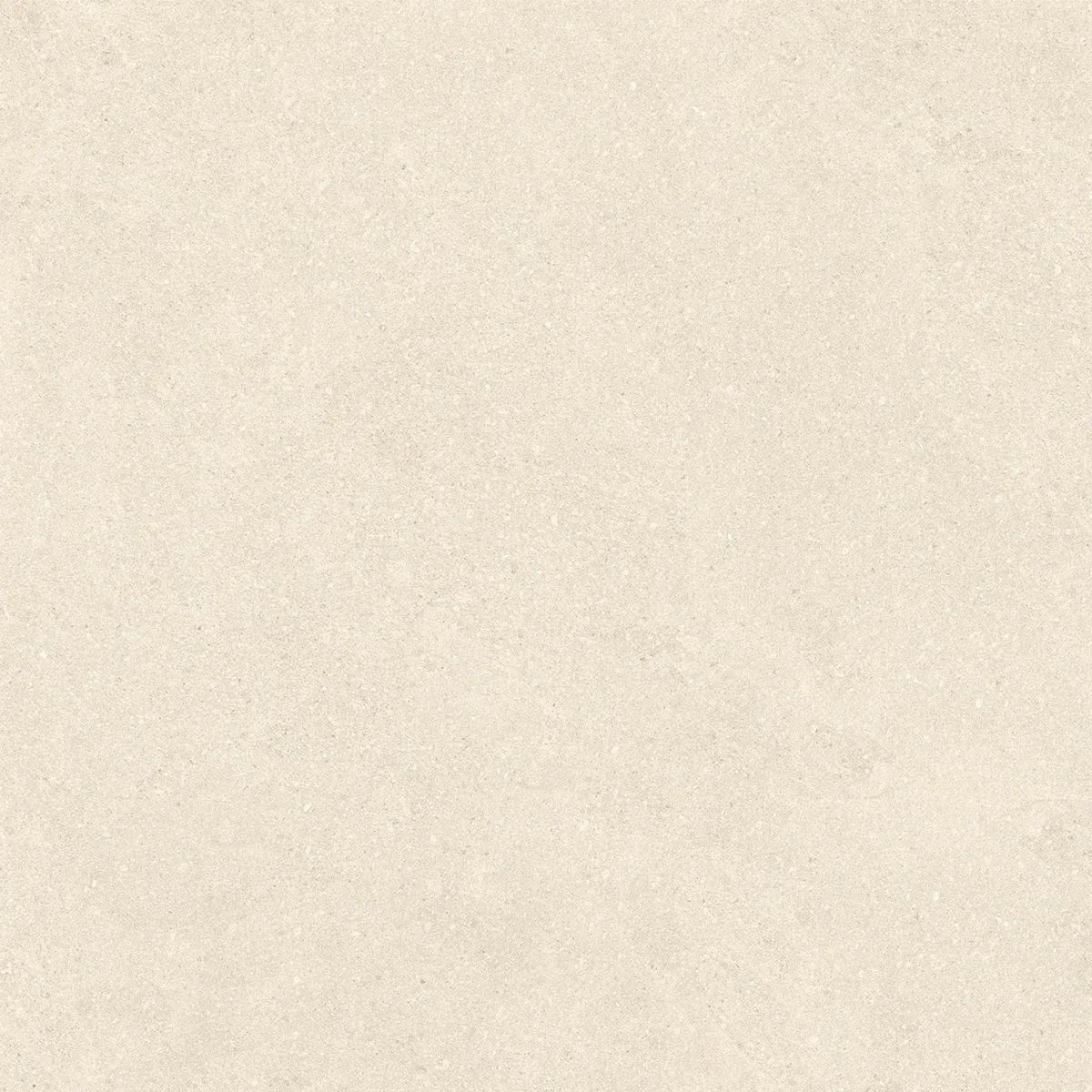 Concept Ivory