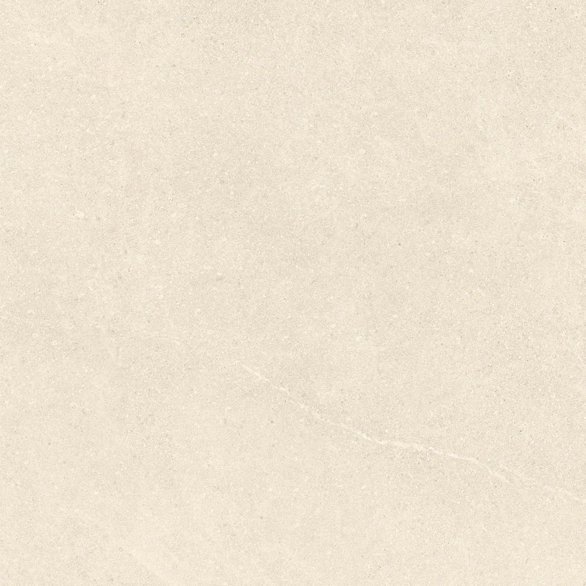 Concept Ivory Brillo