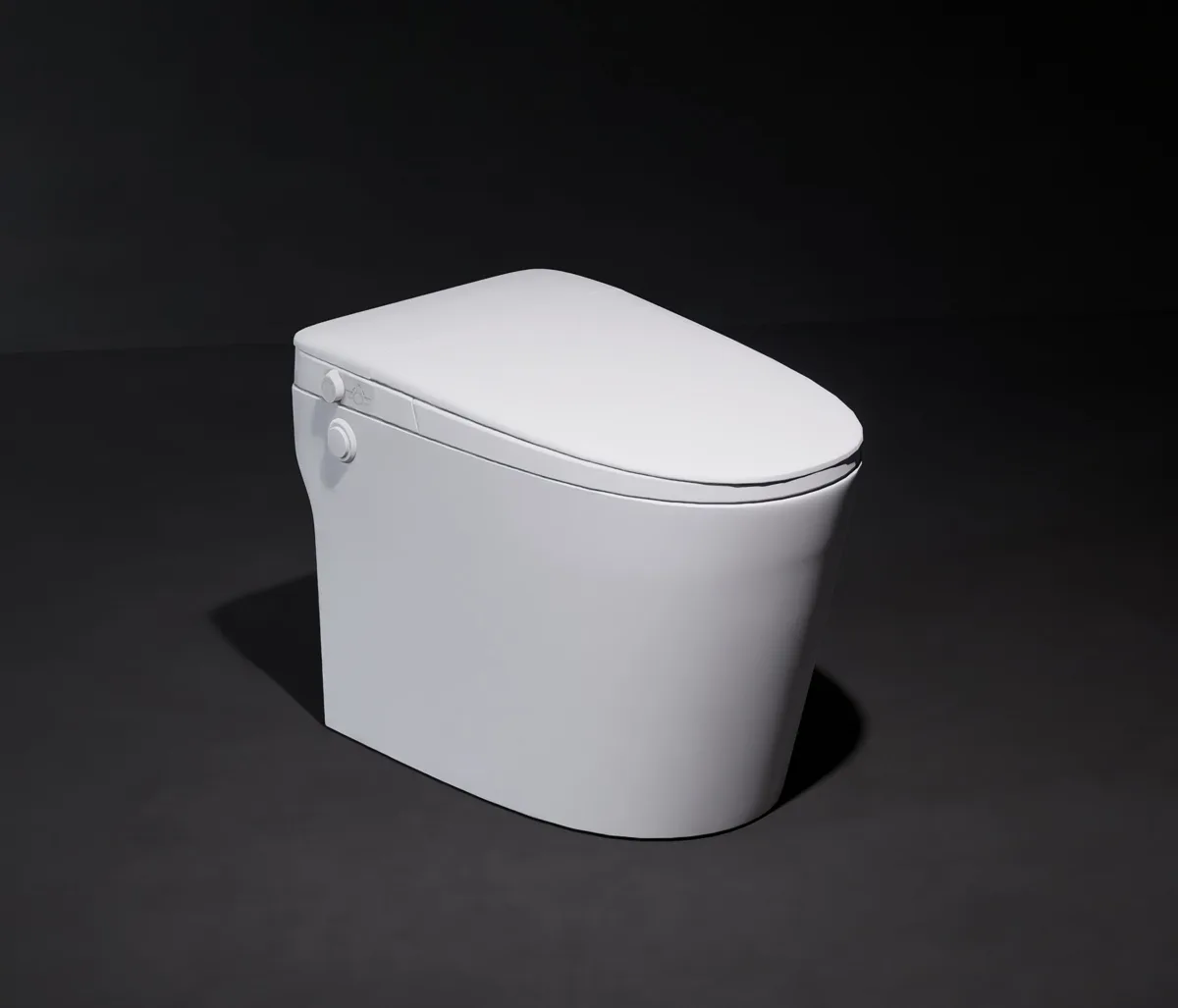 Sanitario Júpiter Flush