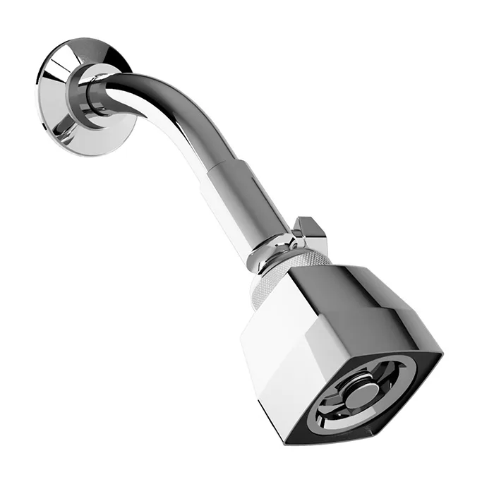 Regadera de Chorro Fijo Limpieza Automática AC20-TR011