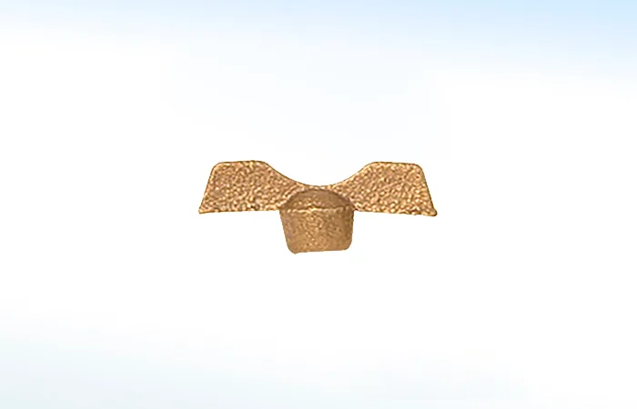 Manerales cuerpo de Bronce R1