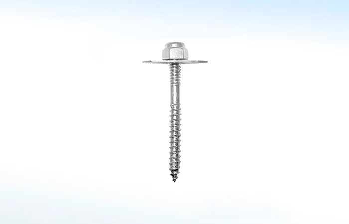 Pija para W.C 62