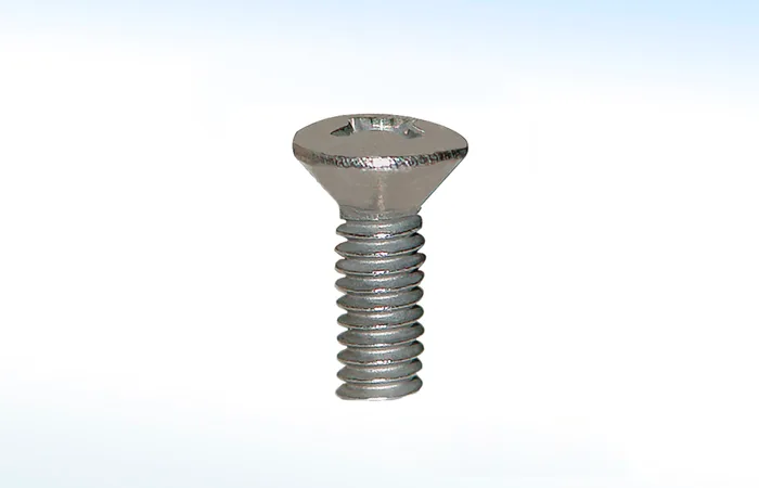 Tornillos para Maneral Regio RL-01