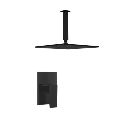 Kit Regadera Lexus Black a Techo