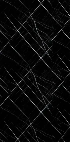 Laurent Negro