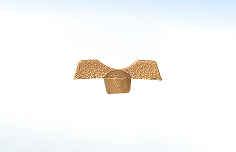 Manerales cuerpo de Bronce R1 