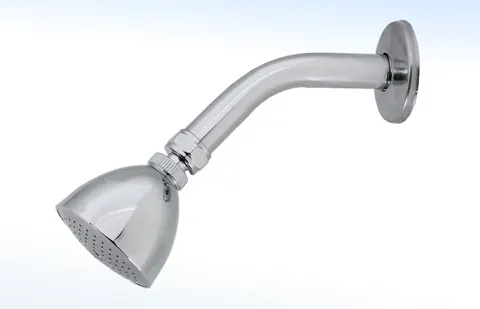 Regadera de 2 3/4” Ø con Brazo y Chapetón 44-G 